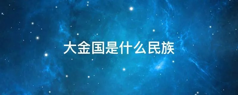 大金国是什么民族