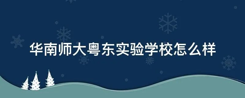 华南师大粤东实验学校怎么样