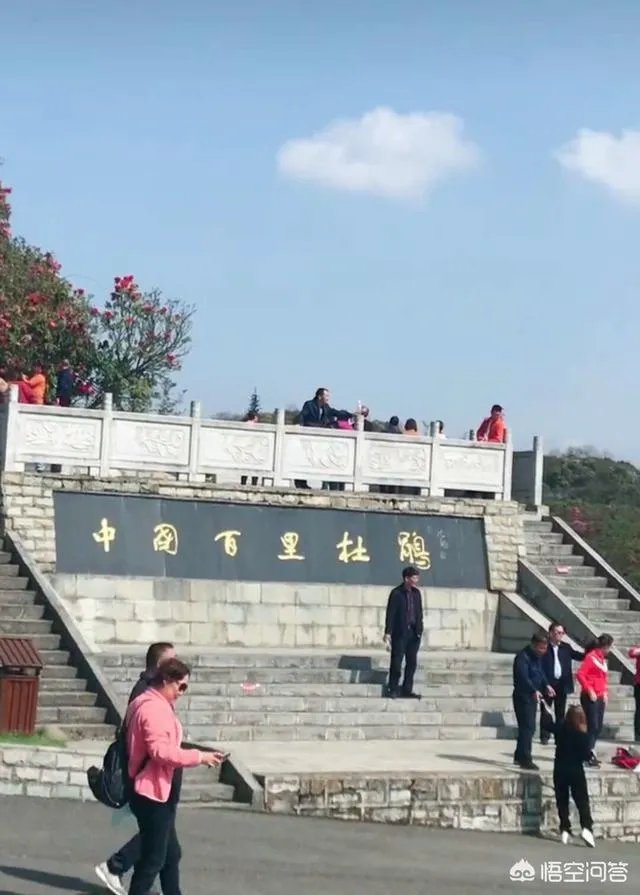 你知道中国百里杜鹃花都在哪里吗?
