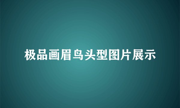 极品画眉鸟头型图片展示