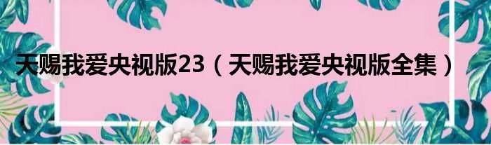 天赐我爱央视版23（天赐我爱央视版全集）