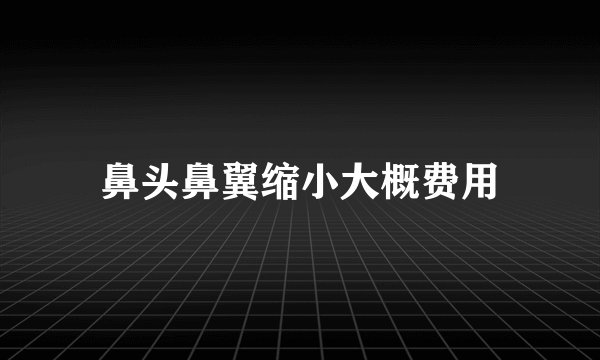 鼻头鼻翼缩小大概费用