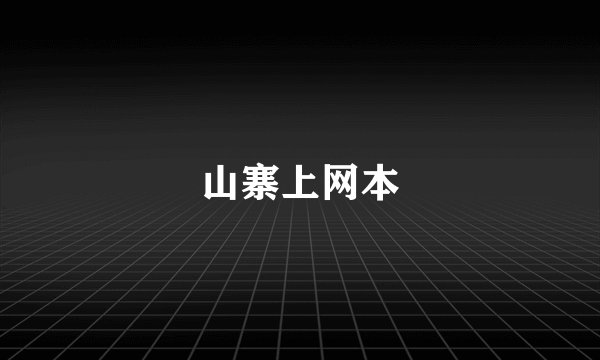 山寨上网本