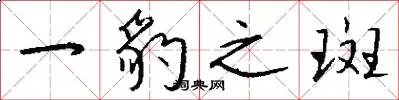 一豹之斑