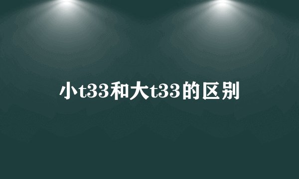 小t33和大t33的区别