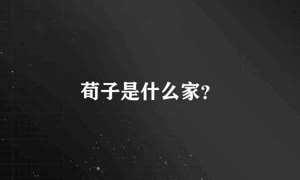 荀子是什么家？