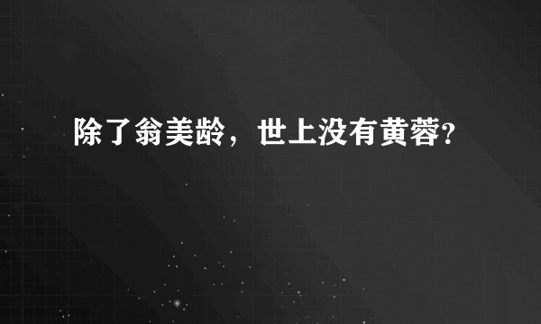 除了翁美龄，世上没有黄蓉？