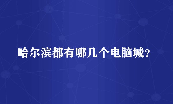 哈尔滨都有哪几个电脑城？