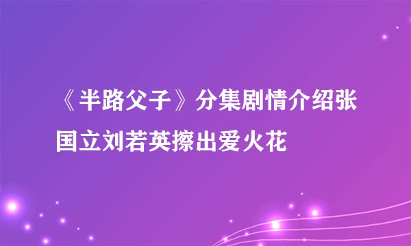 《半路父子》分集剧情介绍张国立刘若英擦出爱火花