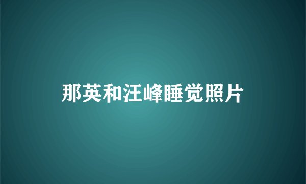 那英和汪峰睡觉照片