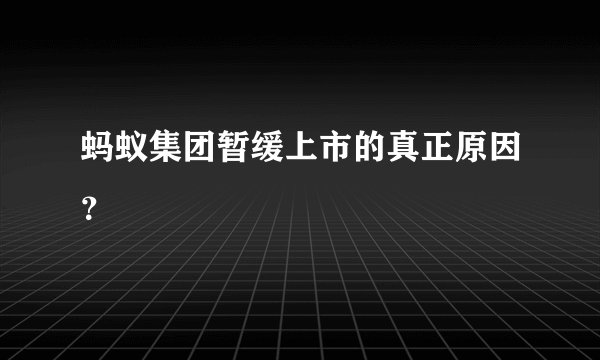 蚂蚁集团暂缓上市的真正原因？
