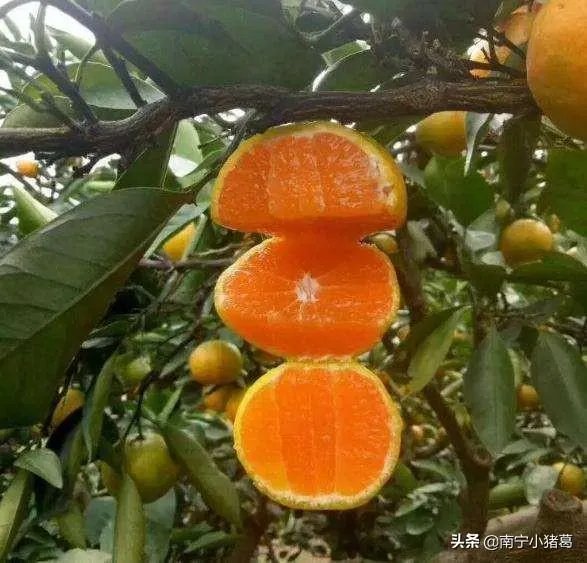 你对央视《致富经》栏目怎么看?