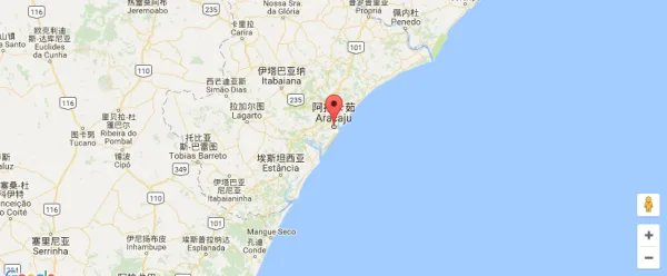 巴西有哪些主要港口？以及巴西基本港?
