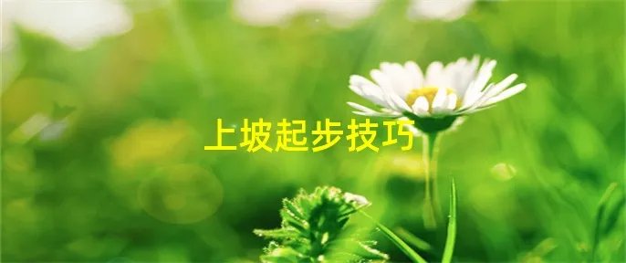 上坡起步技巧