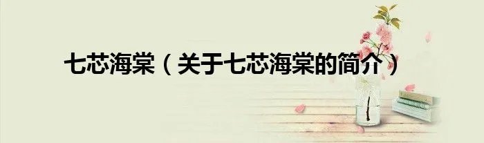 七芯海棠（关于七芯海棠的简介）