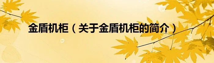金盾机柜（关于金盾机柜的简介）