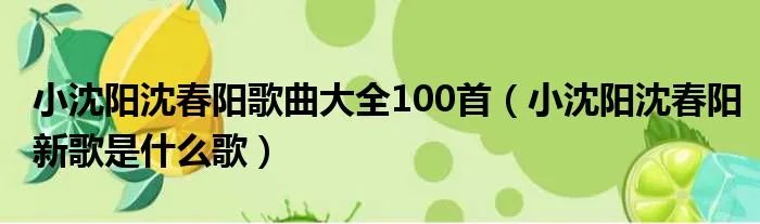 小沈阳沈春阳歌曲大全100首（小沈阳沈春阳新歌是什么歌）