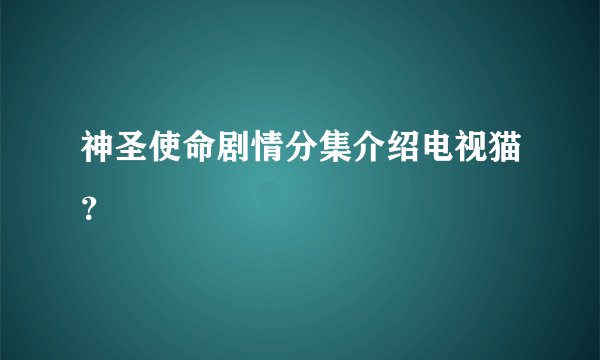 神圣使命剧情分集介绍电视猫？