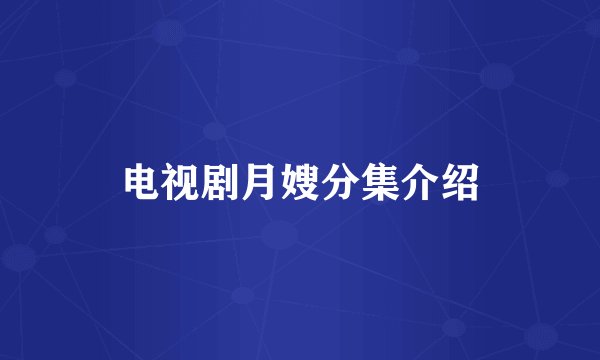电视剧月嫂分集介绍