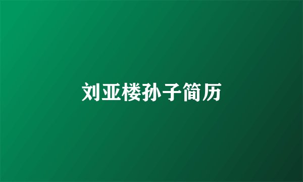 刘亚楼孙子简历