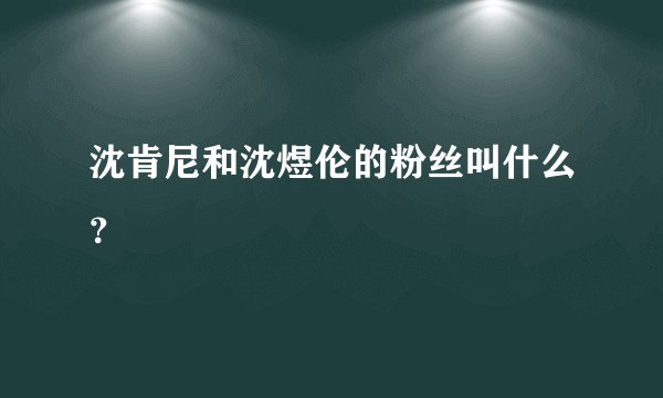 沈肯尼和沈煜伦的粉丝叫什么？