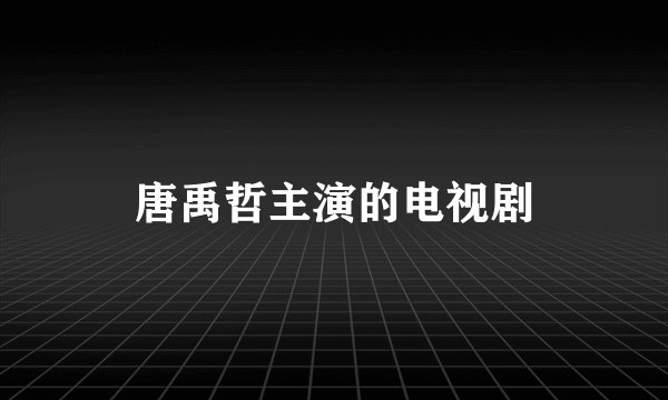 唐禹哲主演的电视剧
