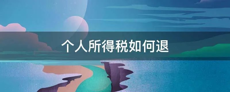 个人所得税如何退