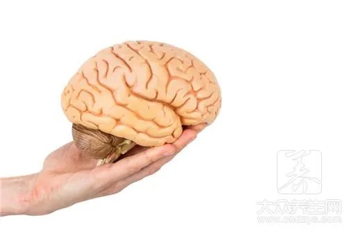 逻辑思维混乱怎么办?