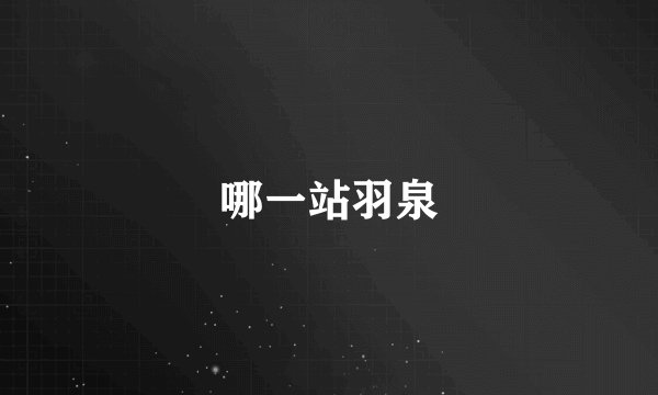 哪一站羽泉