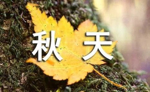 秋天的丰收作文