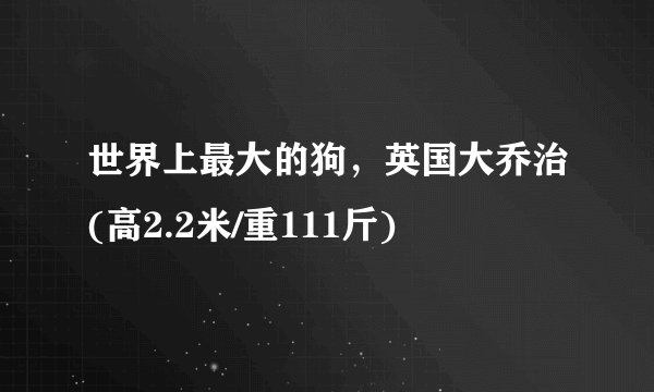 世界上最大的狗，英国大乔治(高2.2米/重111斤)