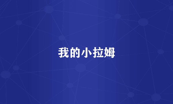 我的小拉姆