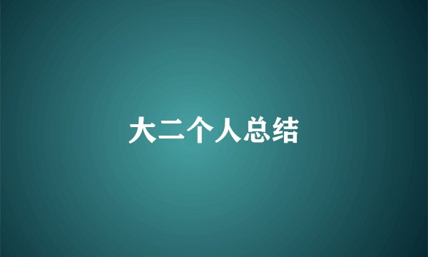 大二个人总结
