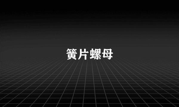 簧片螺母