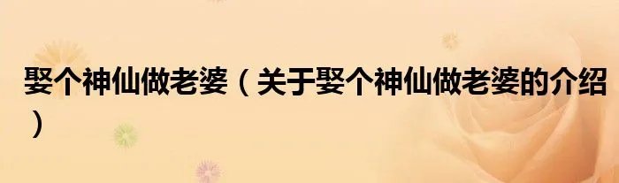 娶个神仙做老婆（关于娶个神仙做老婆的介绍）