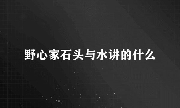 野心家石头与水讲的什么
