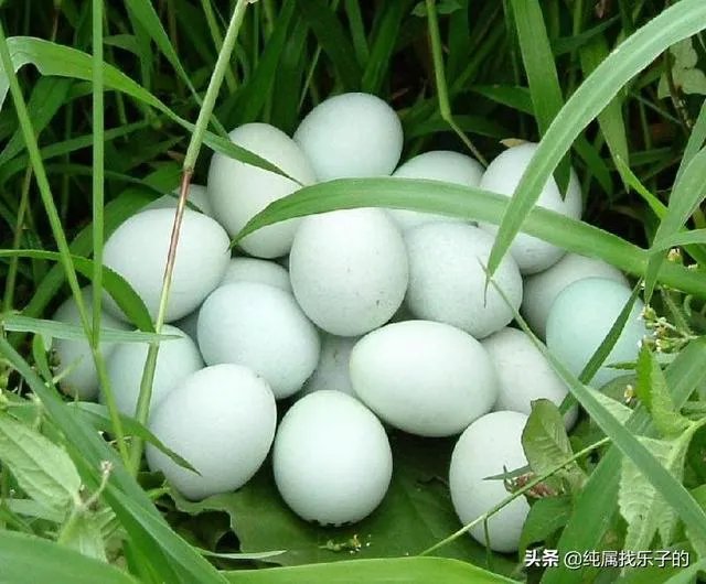 你对央视《致富经》栏目怎么看?
