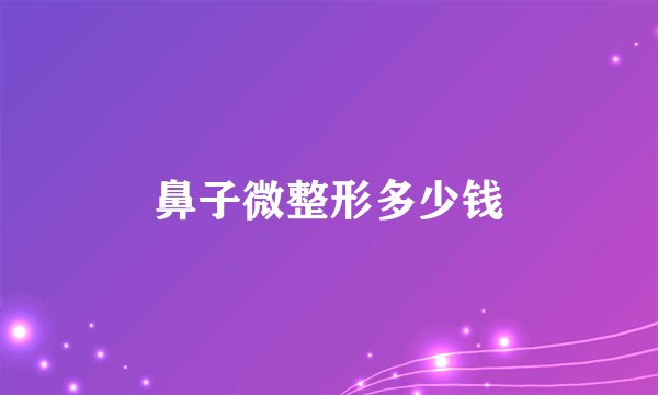 鼻子微整形多少钱
