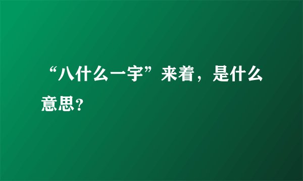 “八什么一宇”来着，是什么意思？