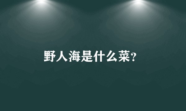 野人海是什么菜？