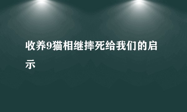 收养9猫相继摔死给我们的启示