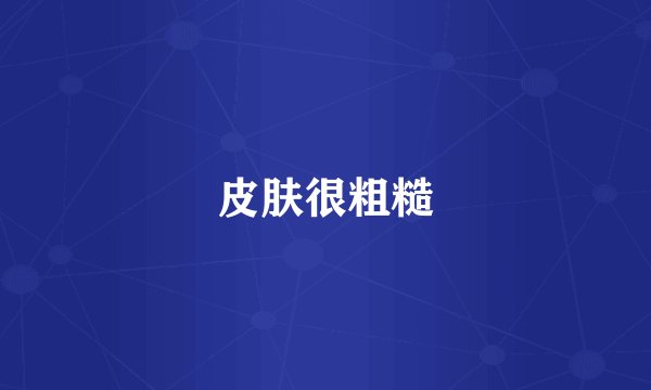 皮肤很粗糙