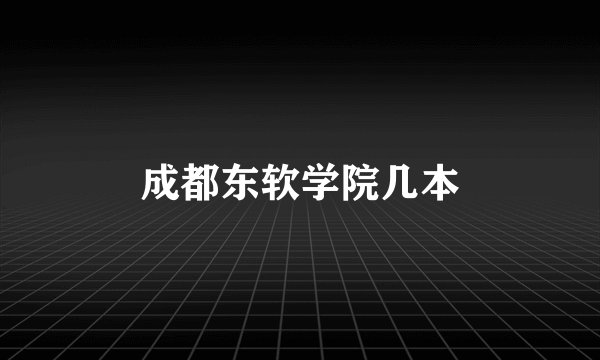 成都东软学院几本