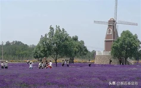 十一黄金周要去旅游,哪里比较适合一家三口旅游?