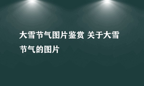 大雪节气图片鉴赏 关于大雪节气的图片