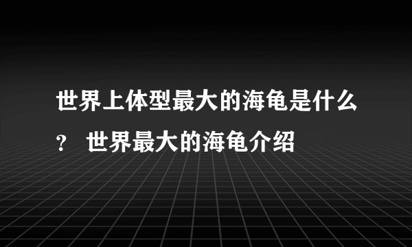 世界上体型最大的海龟是什么? 世界最大的海龟介绍