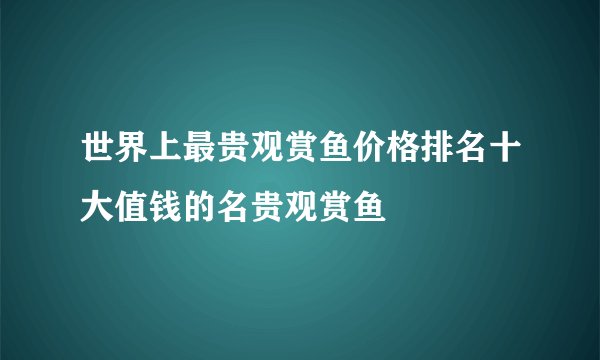 世界上最贵观赏鱼价格排名十大值钱的名贵观赏鱼