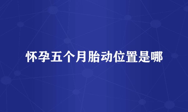 怀孕五个月胎动位置是哪