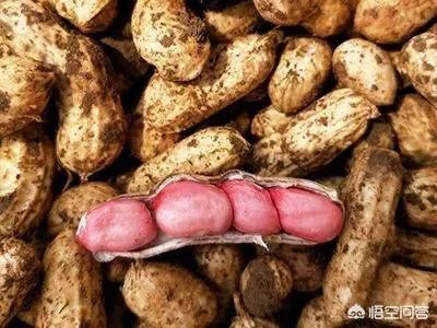 最新的花生价格是多少?行情如何?