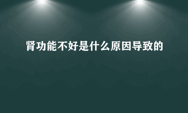 肾功能不好是什么原因导致的